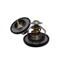 TERMOSTATO MAXUS V-80 2.5