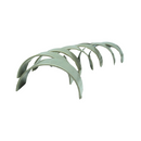 METAL BIELA MOTOR JMC VIGUS WORK 2.5