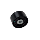 Rodamiento Guia Correa Accesorios Maxus C35 2.0 Lisa