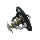 TERMOSTATO MAXUS T60 2.8